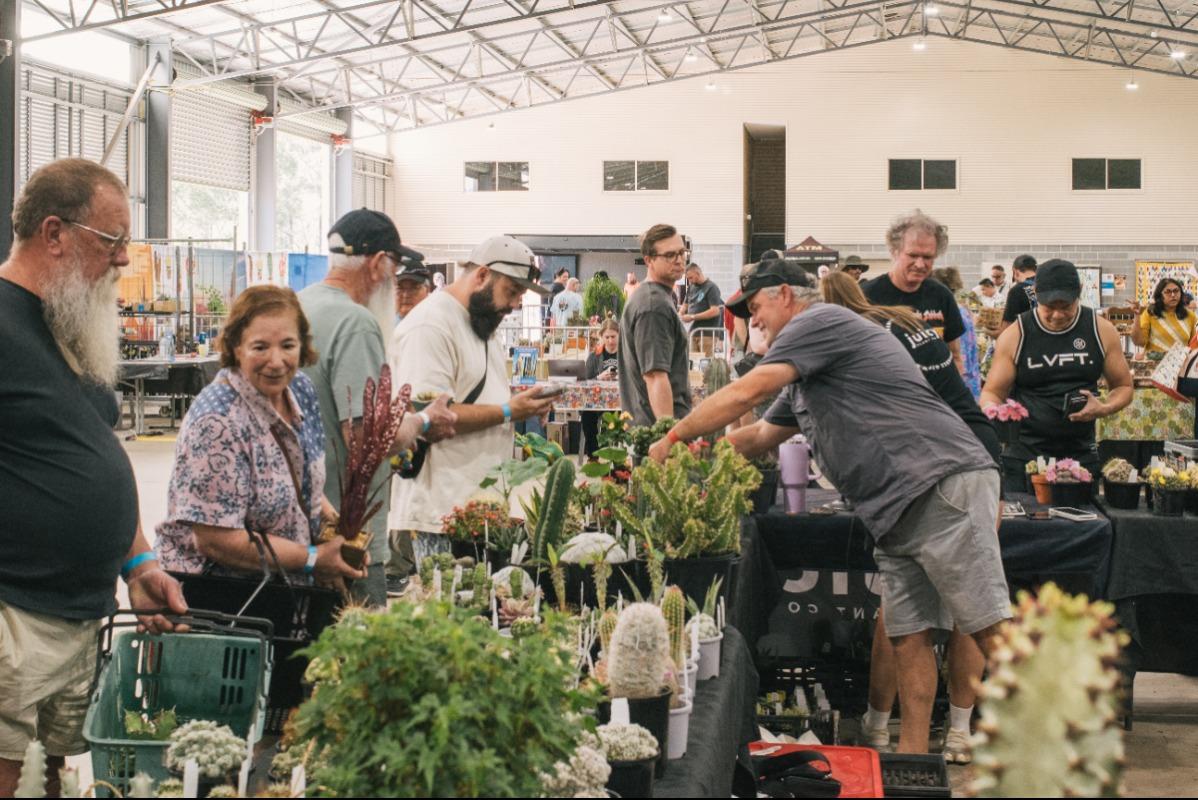 An exciting sales day with your favourite Cacti and Succulent Society vendors.
And we welcome Growers Collab to tempt you with delights from the jungle and beyond!