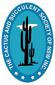 Welcome to The Cactus and Succulent Society of New South Wales Inc. Founded in 1957, The Cactus and Succulent Society of New South Wales Inc. (CSSNSW) is one of Australia’s oldest and largest societies dedicated to the appreciation, cultivation, and cons